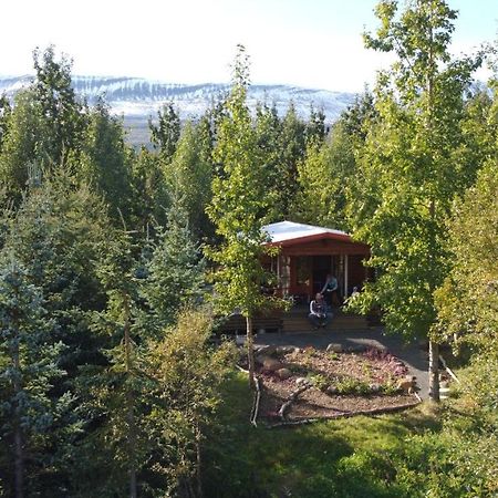 Bakkakot 1 - Cozy Cabins In The Woods Akureyri Exterior foto