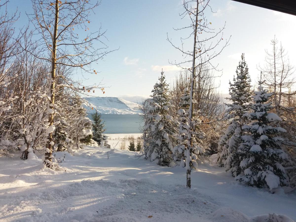 Bakkakot 1 - Cozy Cabins In The Woods Akureyri Exterior foto