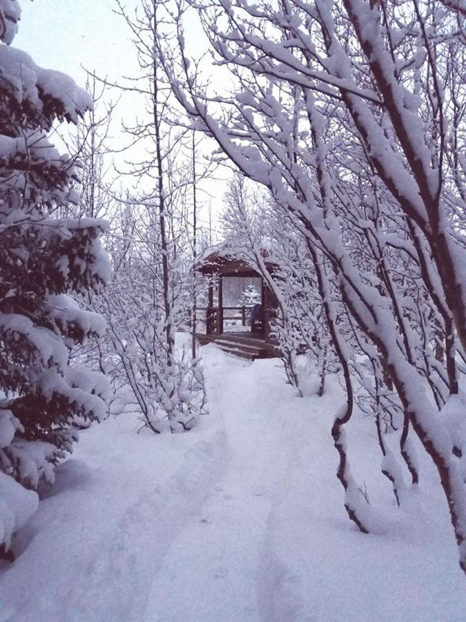 Bakkakot 1 - Cozy Cabins In The Woods Akureyri Exterior foto