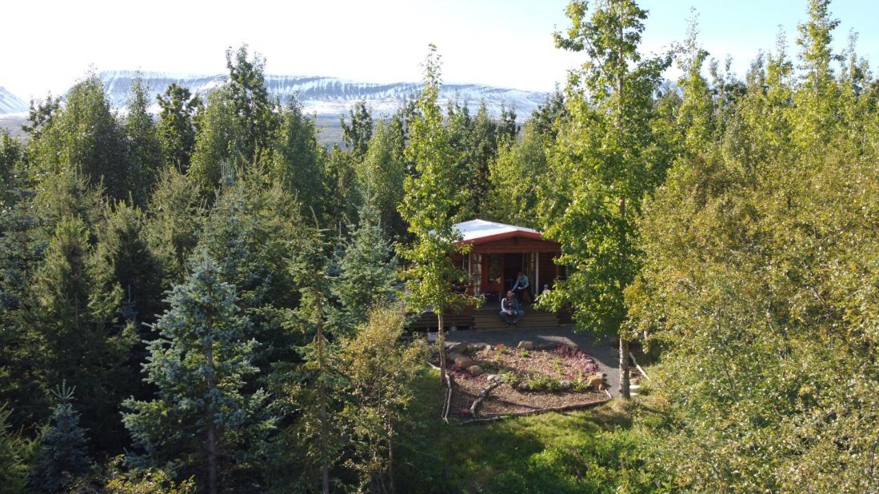 Bakkakot 1 - Cozy Cabins In The Woods Akureyri Exterior foto