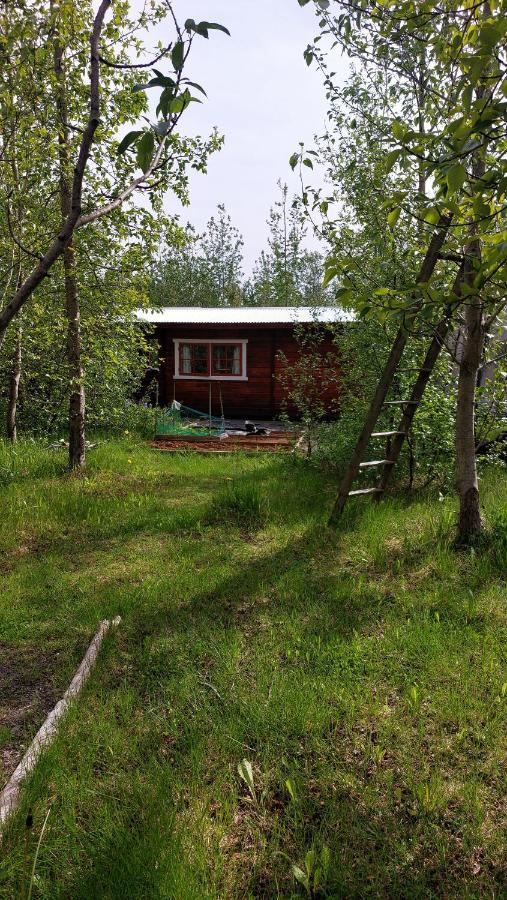 Bakkakot 1 - Cozy Cabins In The Woods Akureyri Exterior foto